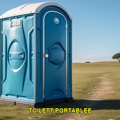 toilett portablee